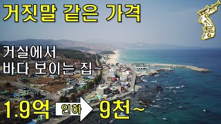 거짓말 같은 가격~휴가 가고 싶은 곳에 바다 보이는 집이 1억9천에서⇒9천~으로 인하[땅지통]