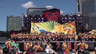 京炎そでふれ！ Tacchi こいや祭り ２０１９ メイン会場 日本の祭り紹介TV　Japan festival TV