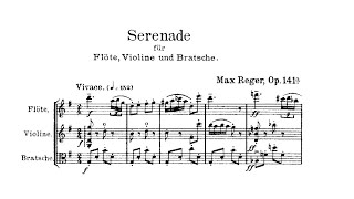 Max Reger - Serenade for Flute, Violin, and Viola in G Major, Op. 141a