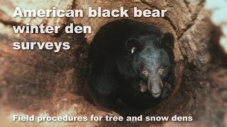 IBA Managers Committee Webinar #10 - American black bear winter den surveys