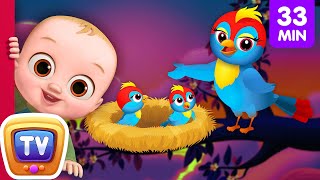 Animal Homes Song + More Nursery Rhymes & Kids Songs - ChuChu TV