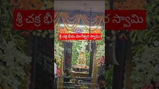 శ్రీ చక్ర భీమ లింగేశ్వర స్వామి | అశ్వత్థం | పెద్ద పప్పూరు | అనంతపురం | మాఘ మాసం మూడవ ఆదివారం