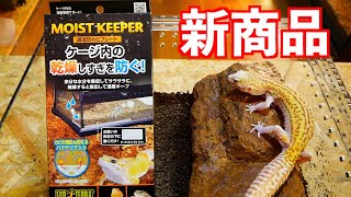 ヒョウモントカゲモドキ飼育#93【モイストキーパー】