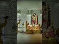 shri ramlala aarti🙏 trending viralvideo shorts ayodhya ayodhyarammandir rammandir ramlala ram