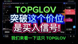 TOPGLOV 顶级手套, 突破这个价位是买入信号!