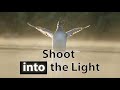 Bird Photography Lighting - How to Backlight (Part 2 of 3)