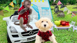 Baby monkey Bim Bim eat Lego block jelly and goes camping with his puppy in the new garden