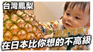 台灣鳳梨在日本沒你想像的高級｜終於買到台灣鳳梨了｜日本高級水果可怕貴｜日本日常生活vlog