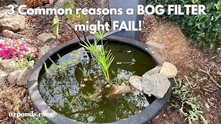 3 Common reasons a bog filter might fail