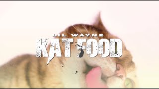 Lil Wayne - Kat Food (Official Lyric Video)