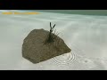 【水中動画】【antlion】スモラバにも丁度いい！！　エバーグリーン　アントライオン2.7　あんとらいおん