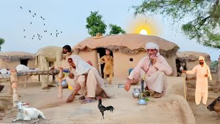 Desert Women Morning Routine | Old Woman |Hard Working | Village Life In Pakistan