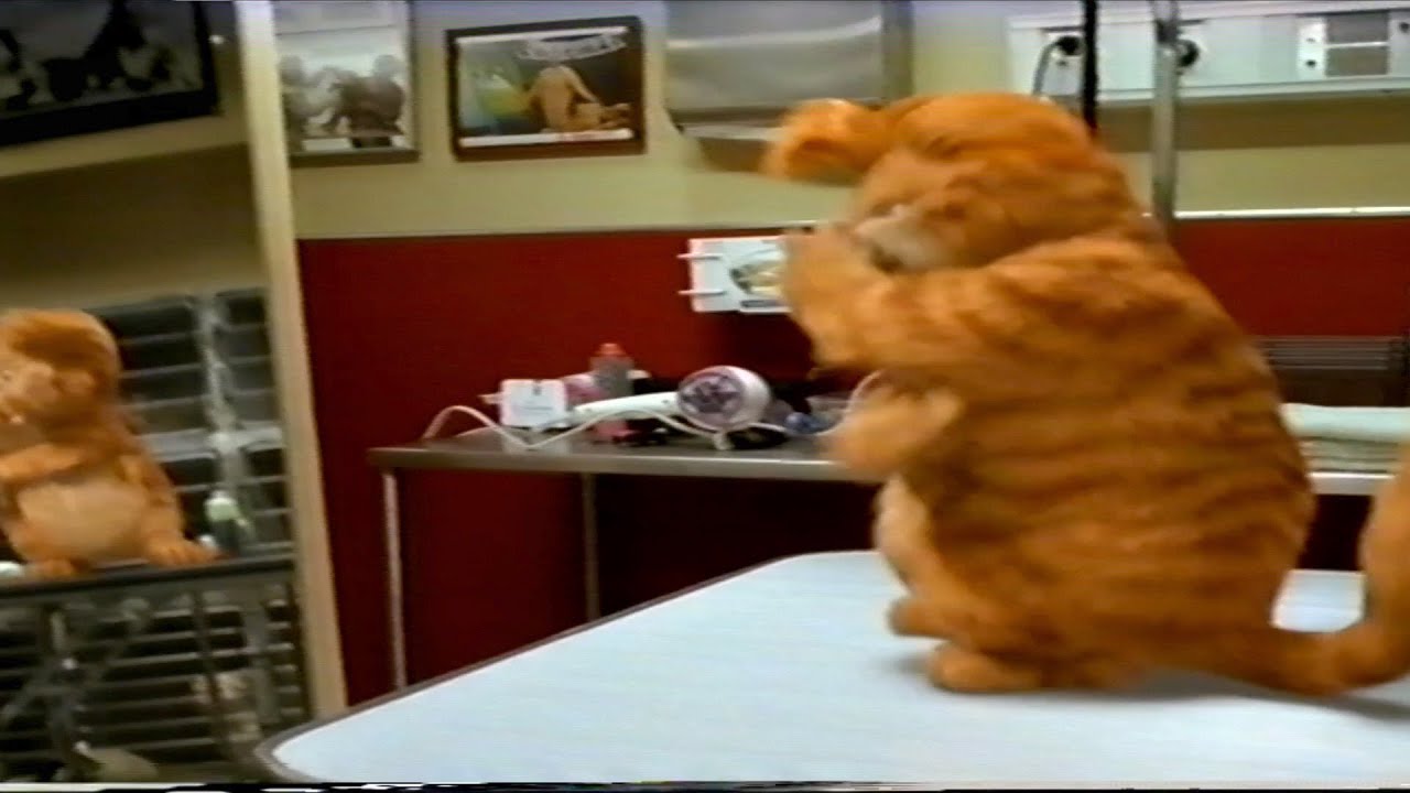 Garfield Vet Scene 2004 Vhs Capture Youtube