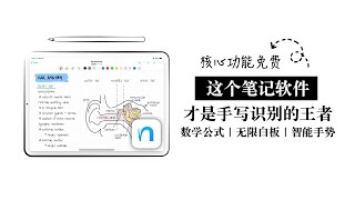 【安卓iPad都能用的手写笔记软件】NEBO 手写识别的王者