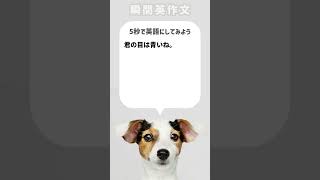 【瞬間英作文】君の目は青いね。