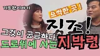 지박령! 의외로 도로위에 사는 귀신이 많은곳 (꼭 알면 좋은 이야기)