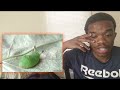 Daily Dose of Interment  -  A Leaf Creating Oxygen in Real Time [REACTION]