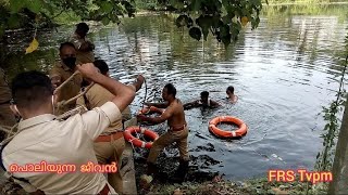 പൊലിയുന്ന ജീവൻ.ഓർക്കുക....