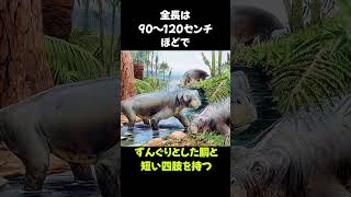 おっさんみたいな生き物「リストロサウルス」の雑学 #動物 #生き物 #shorts #雑学 #豆知識 #おもしろい #恐竜