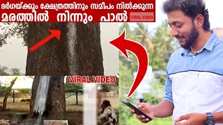 ദർഗയിലും ക്ഷേത്രത്തിലും മരം പാൽ ചുരത്തുന്നു | Tricks Episode : 221