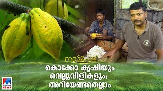 കൊക്കോ കൃഷിയിലൂടെ കൈ നിറയെ നേട്ടം; ജോപ്പുവിന്റെവിജയ രഹസ്യങ്ങൾ | Nattupacha