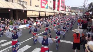 上總組 2015本家高知よさこい 10日 升形 mususukunjp