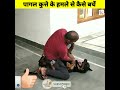 pagal kutte ke hamle se kaise bache how to survive dog attack shorts