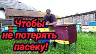 Делайте так осенью чтобы не потерять пасеку!