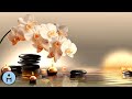 Relaxing Music for Massages: Calming Songs and Relaxation within Wellness Centers