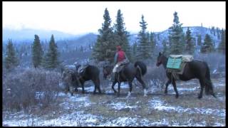 Yukon, polowanie na łosia - Poznaj Kanade