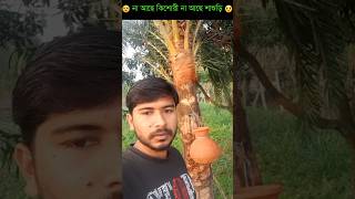 না আছে কিশোরী না আছে শাশুড়ি । 🥲🥺🥲🥲😅 #amaridea #shortvideo #funny #trending #comedy #tiktok