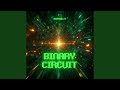 Binary Circuit