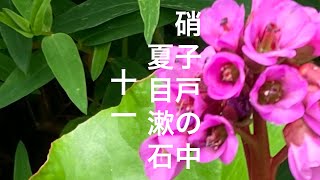 朗読　夏目漱石『硝子戸の中』（十一）書いたものを見てもらいたいという女の人/Inside My Glass Doors Chapter 11 by Sōseki Natsume