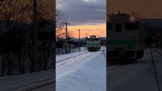 夕暮れの神社通り踏切を通過する富良野行き普通列車2481D［JR北海道/根室本線］ #JR北海道 #根室本線 #普通列車 #キハ40 #踏切 #鉄道