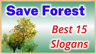 Save Forest slogan in english, Write slogans on the importance of forest, Save tree slogans