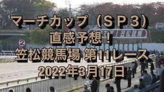 マーチカップ（ＳＰ３） 直感予想！ 笠松競馬場  第11レース 2022年3月17日