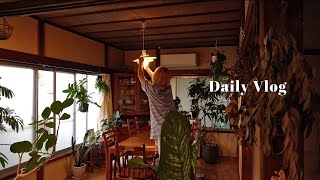 Prepare for summer in a traditional Japanese house | Kitchen Tool Haul | Home Izakaya | vlog