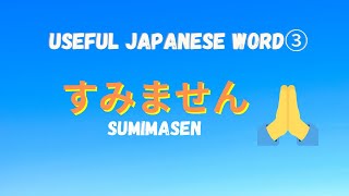 [ENG] Useful Japanese word ③ Sumimasen