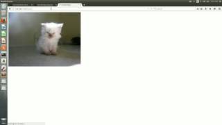 Caches, Proxies and Queues