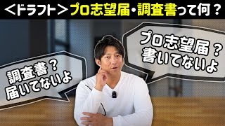 ＜プロ野球ドラフト＞プロ志望届って何？調査書って何？