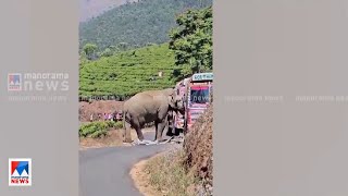 മൂന്നാര്‍ ഗുഡാര്‍വിളയില്‍ ലോറി തടഞ്ഞ് പടയപ്പ | Munnar |Padayappa