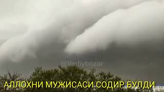 Аллох,ни мужизаси К,ашк,адареда хамма курсин,😍💥