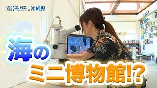 海DO宝～ＧＯＤＡＣで夏休み自由研究〜 日本財団 海と日本PROJECT in 沖縄県 2019 #17