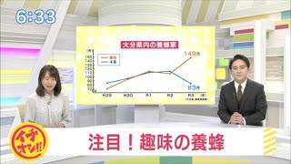 NHKいろどりOITA 1/4「増える趣味の養蜂家」にほんミツバチ