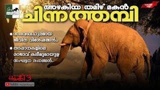 അഴകിയ തമിഴ് മകൻ ചിന്നത്തമ്പി... Chinnathambi | சின்னத்தம்பி | Topslip Elephant Camp | Kumki 3