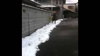 雪に突撃するギン