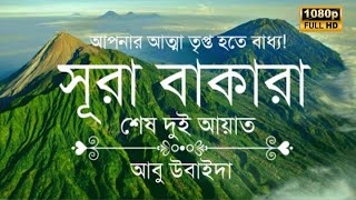 আপনার অন্তর তৃপ্ত হতে বাধ্য┇ সূরা বাকারার শেষ দুই আয়াত┇Recited By Abu Ubayda┇An Nafee Presents