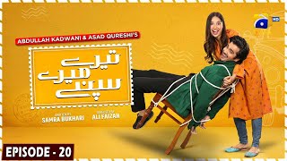 Tere Mere Sapnay Episode 20 - [Eng Sub] - Shahzad Sheikh - Sabeena Farooq - 29th March 2024