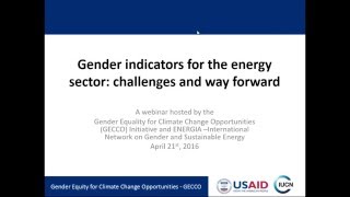Gender indicators for the energy sector: Challenges and ways forward