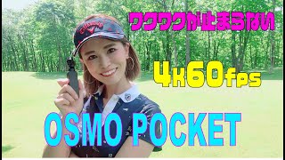 カラフルな毎日を、美しい映像で。OSMO-POCKET